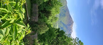 L'Arbonnaise