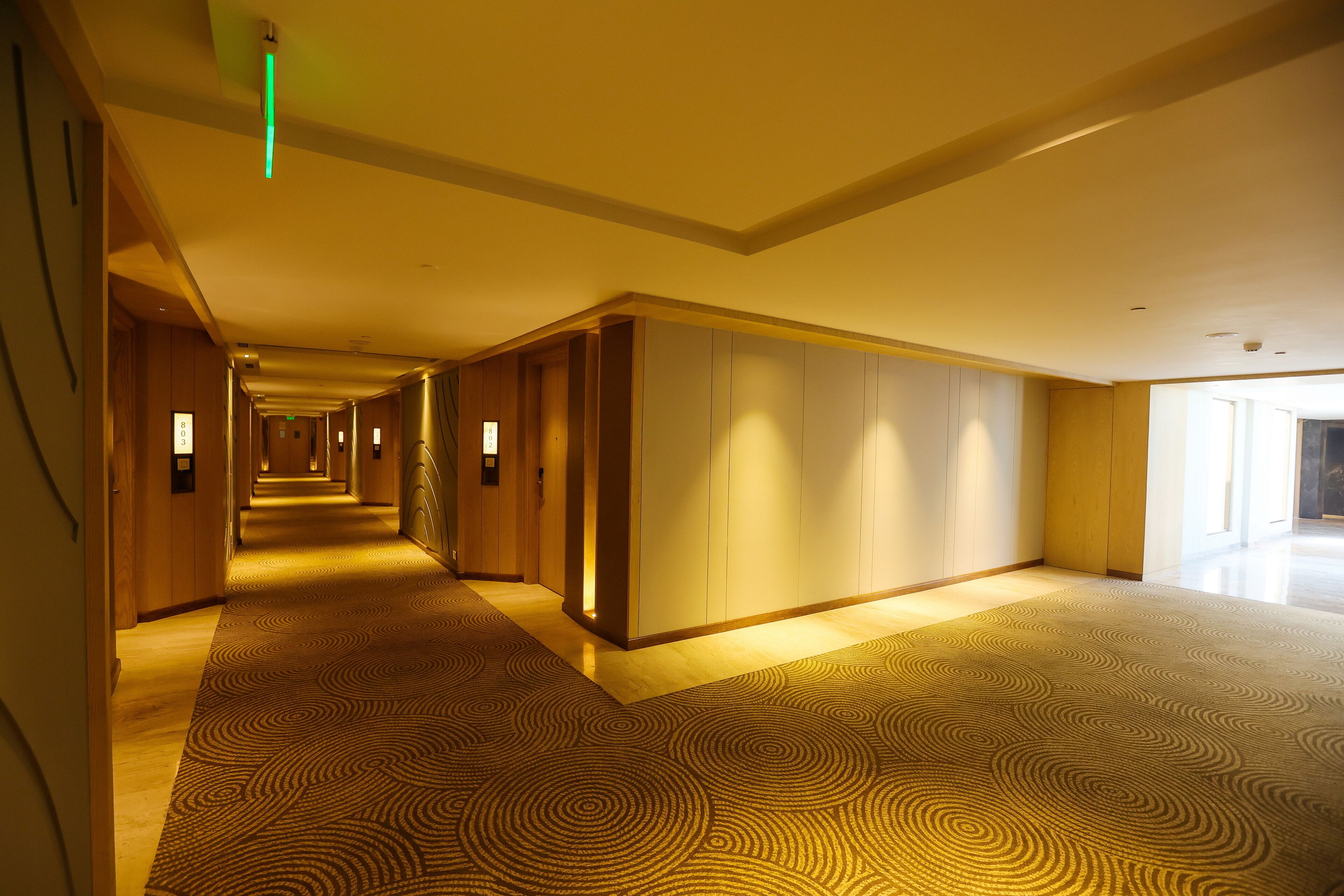 A hotel corridor with patterned carpet, wooden paneling, and recessed lighting.