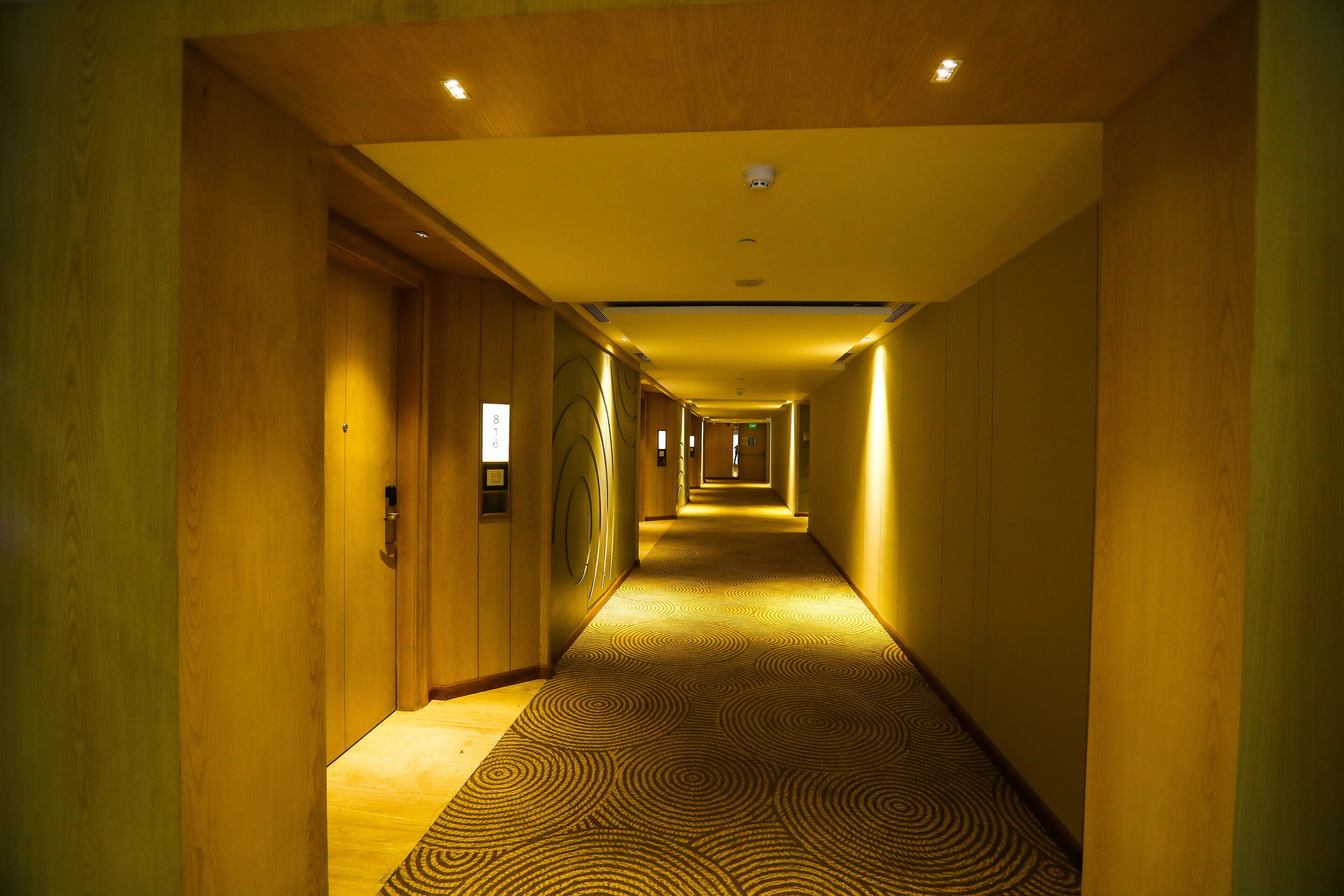 A hotel hallway with a patterned carpet, wooden walls, and recessed lighting.