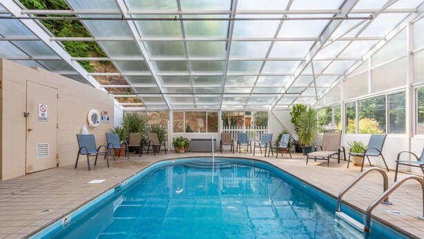 Una piscina interior amb sostre de vidre, envoltada de gandules i plantes en testos.