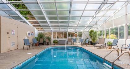 Walk 2 Downtown Gatlinburg/Mountain Views/Pool