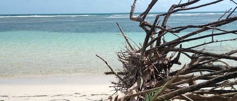 Spiaggia | Una spiaggia nelle vicinanze