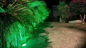 Ein von Palmen gesäumter Weg, der von grünen Lichtern beleuchtet wird und zu einem Gebäude führt.