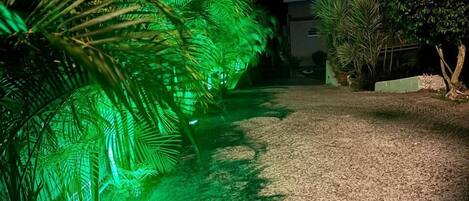 A pathway lined with palm trees illuminated by green lights, leading to a building.