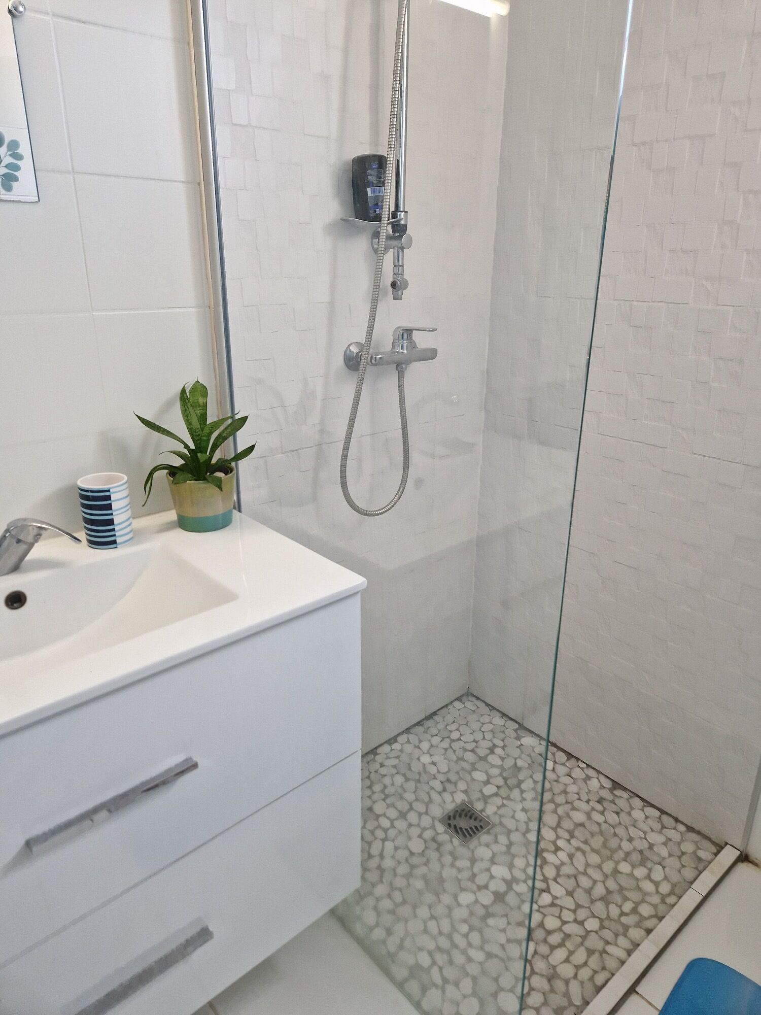 Ein Badezimmer mit einem weißen Waschbecken, einer Topfpflanze und einer Dusche mit Glastür.