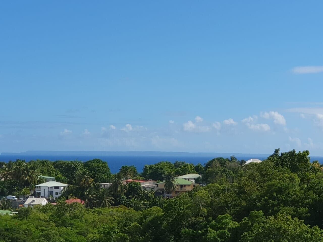 A coastal view with buildings surrounded by dense greenery and a clear blue sky.
