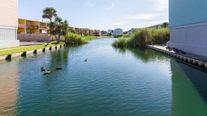 A canal with ducks swimming, surrounded by buildings and greenery. - Stunning Gulf-Front/Balcony Views + Hot Tub/Top-Rated 10/10/Pensacola Beach (Pensacola Beach)