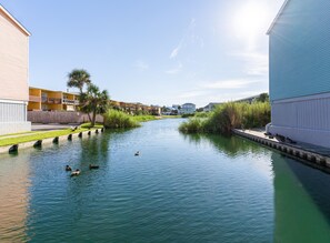 Residents can stroll along the tranquil waterway, taking in the serene views from the wooden walkway or grassy area.