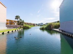 Residents can stroll along the tranquil waterway, taking in the serene views from the wooden walkway or grassy area.