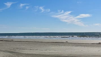 Playa en los alrededores