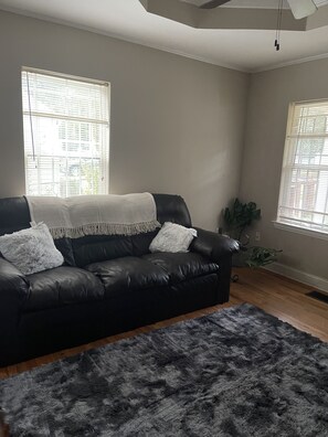 Relax in this inviting living room with a comfortable sofa, plush rug, and a potted plant.