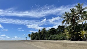 A beach with palm trees and a clear sky. - Perfect viewing of migrating Pacific whales, from the hills above Ojochal (Ojochal)