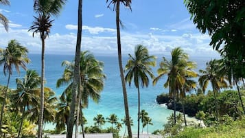 Vista da propriedade