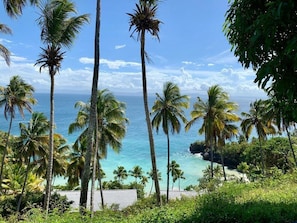 Pemandangan dari properti