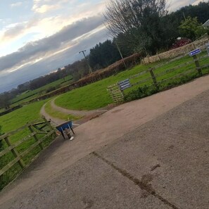 Property grounds