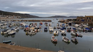 Un port de plaisance où sont amarrés différents types de bateaux, avec une vue sur le front de mer et un paysage vallonné en arrière-plan.