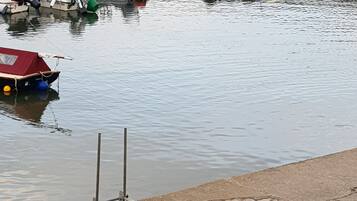 Ein Hafen mit vertäuten Booten und einer Taube an der Kaimauer.