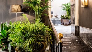 A modern hotel lobby with a marble staircase, large potted plants, a lamp, and a framed picture on the wall.