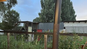 Una estufa de leña en un entorno exterior con una valla metálica y follaje en el fondo.