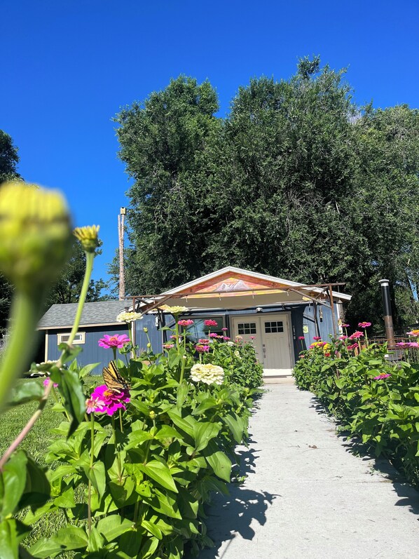 Enceinte de l’hébergement