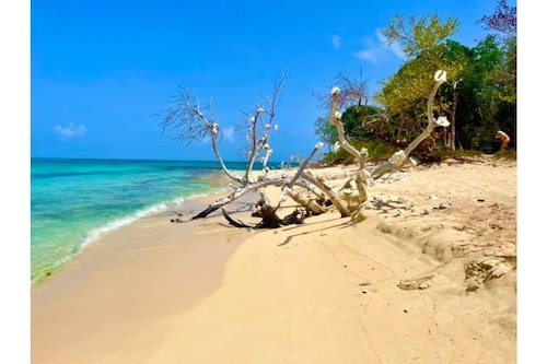 Gone Coastal @ Pelican Cove