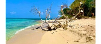 Gone Coastal @ Pelican Cove