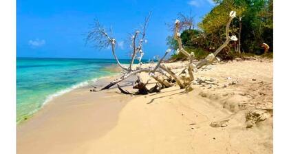 Gone Coastal @ Pelican Cove