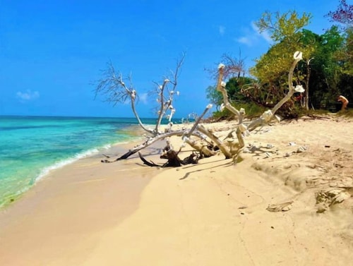 Gone Coastal @ Pelican Cove