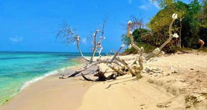 Gone Coastal @ Pelican Cove