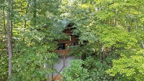 Eine Hütte, umgeben von dichtem Grün, mit einem Balkon mit Blick auf den Wald.