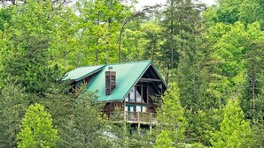 A cabin surrounded by dense forest.