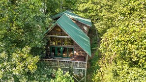 Une cabane surmontée d’un toit végétalisé, entourée d’un feuillage dense.