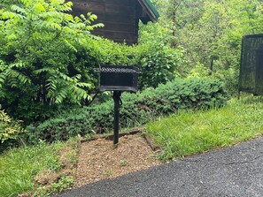 A mailbox in a garden area with dense foliage and a wooden structure in the background.