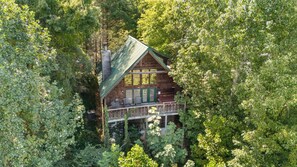 Une cabane surmontée d’un toit végétalisé, entourée d’une forêt dense.