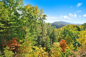 A forested landscape with a mountain range in the distance.