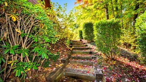 A wooden staircase surrounded by lush greenery and autumn leaves.
