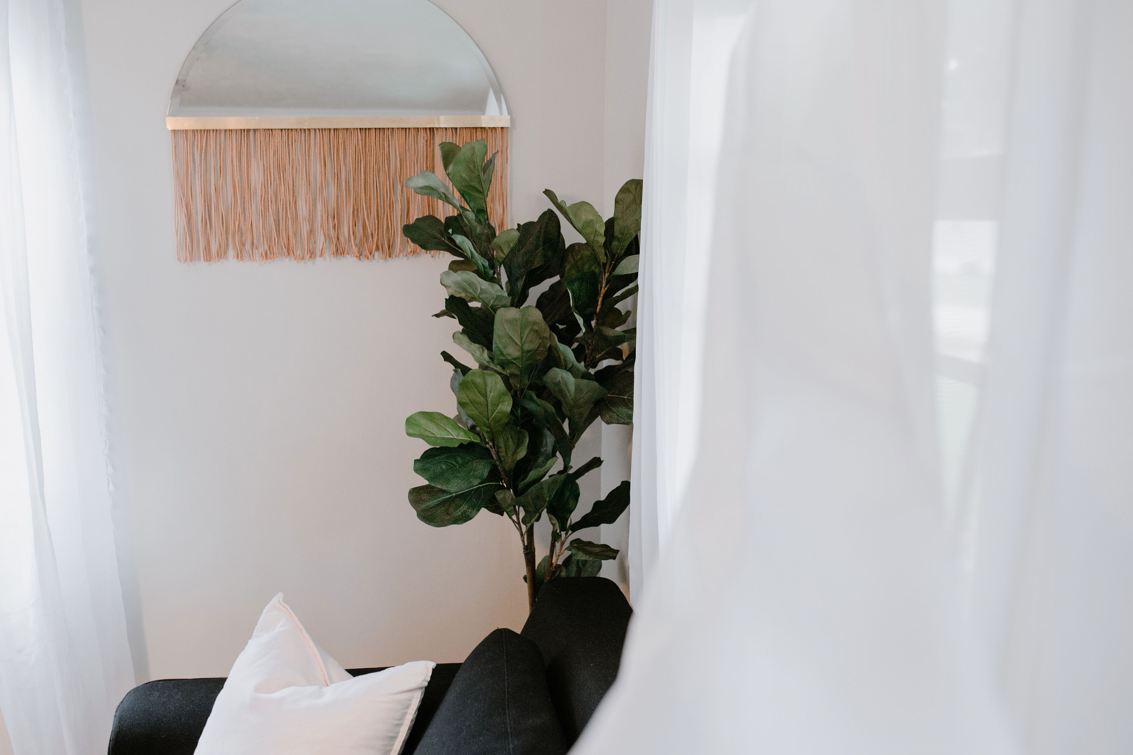 Una sala de estar moderna con un sofá negro, un cojín blanco, una planta verde y un macramé colgado en la pared.