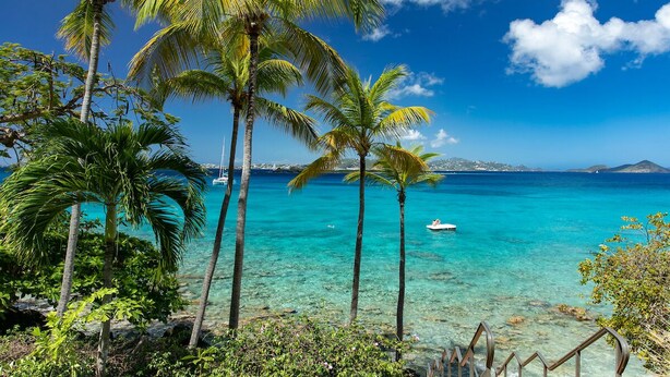 Una playa tropical con agua turquesa cristalina, palmeras y un barco a lo lejos.