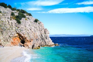 Lettini da mare