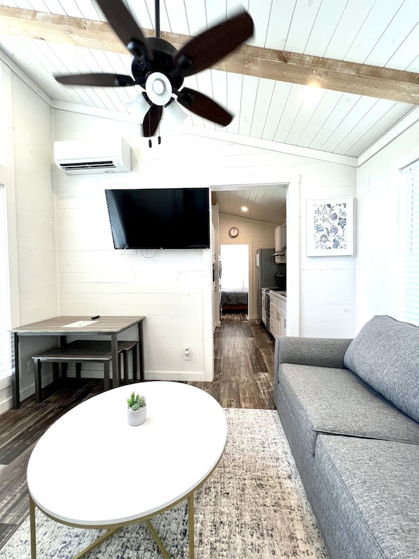 Smart TV, fireplace, books