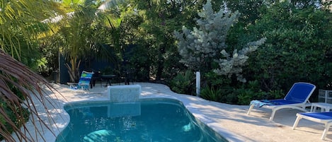 Piscina com borda curva, rodeada por espreguiçadeiras e plantas tropicais.