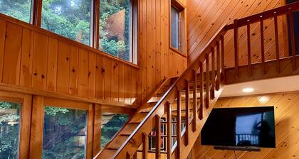 “Hollywood Nights”