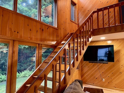 “Hollywood Nights”