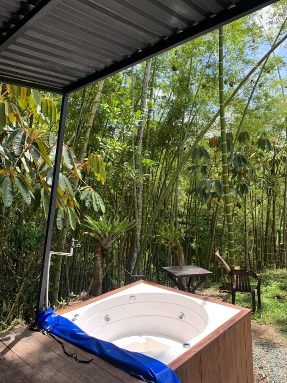 A wooden hot tub under a metal roof, surrounded by lush bamboo forest.