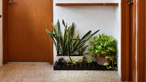 A hallway with a wooden door, a framed mirror, and a potted plant arrangement. - Casa Mosha 2 La Mejor Atención, Cerca de Todo (benito juarez)