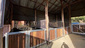 A stable with metal and wooden stalls, a corrugated metal roof, and a dirt floor.