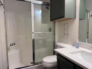 Combined shower/tub, hair dryer