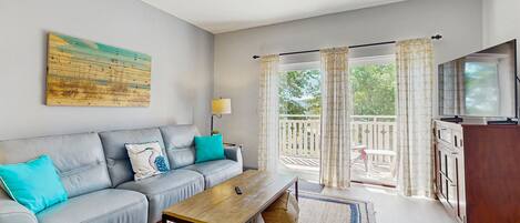 电视、DVD 播放器