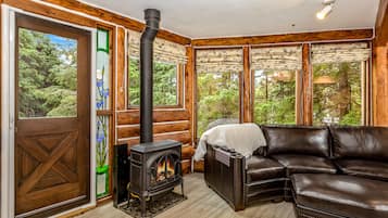 Télévision, cheminée, chaßne hi-fi