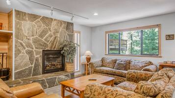 Télévision, cheminée, lecteur de DVD, livres